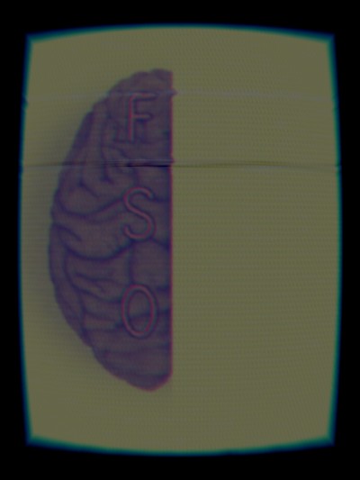 The image
