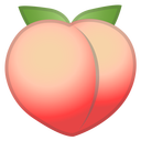 The image