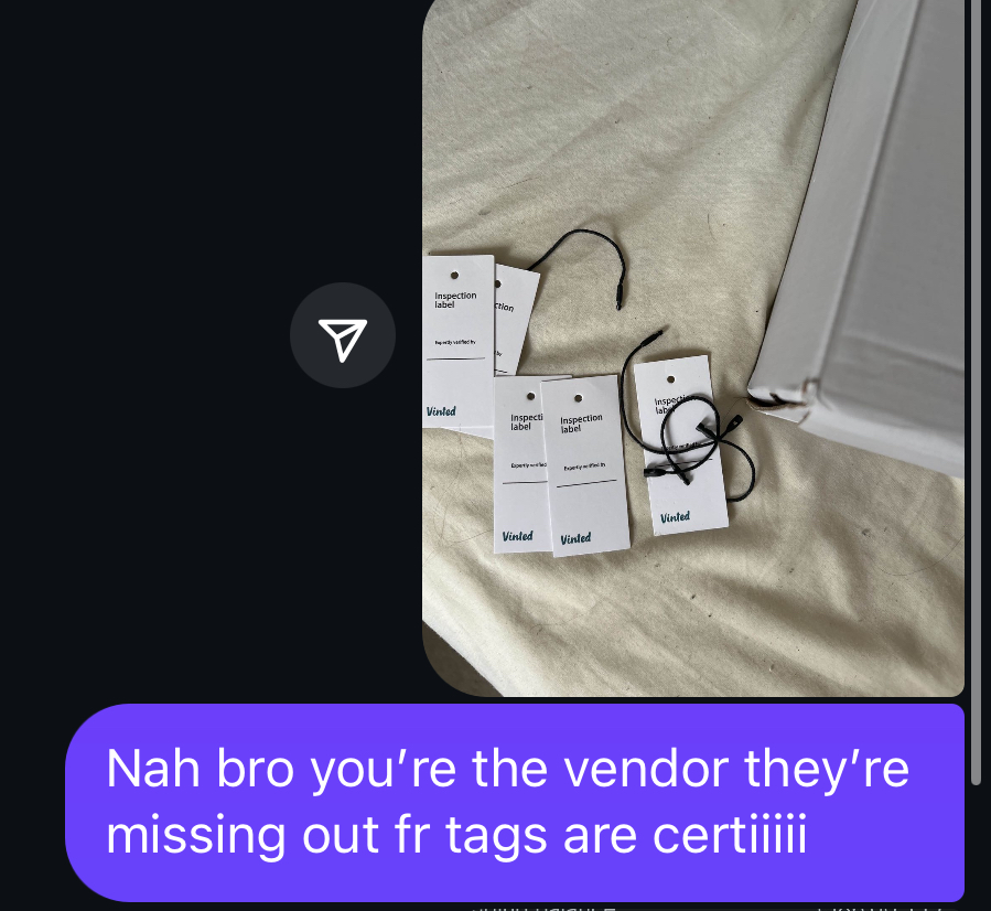 The image