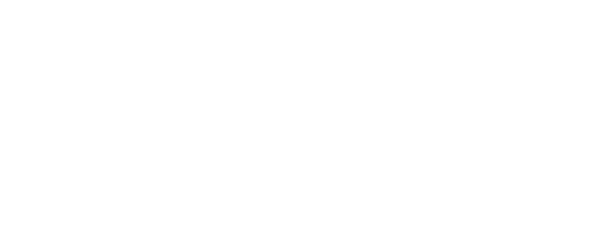 This image shows...