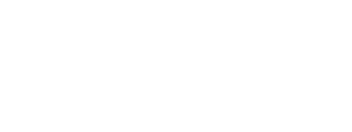 This image shows...