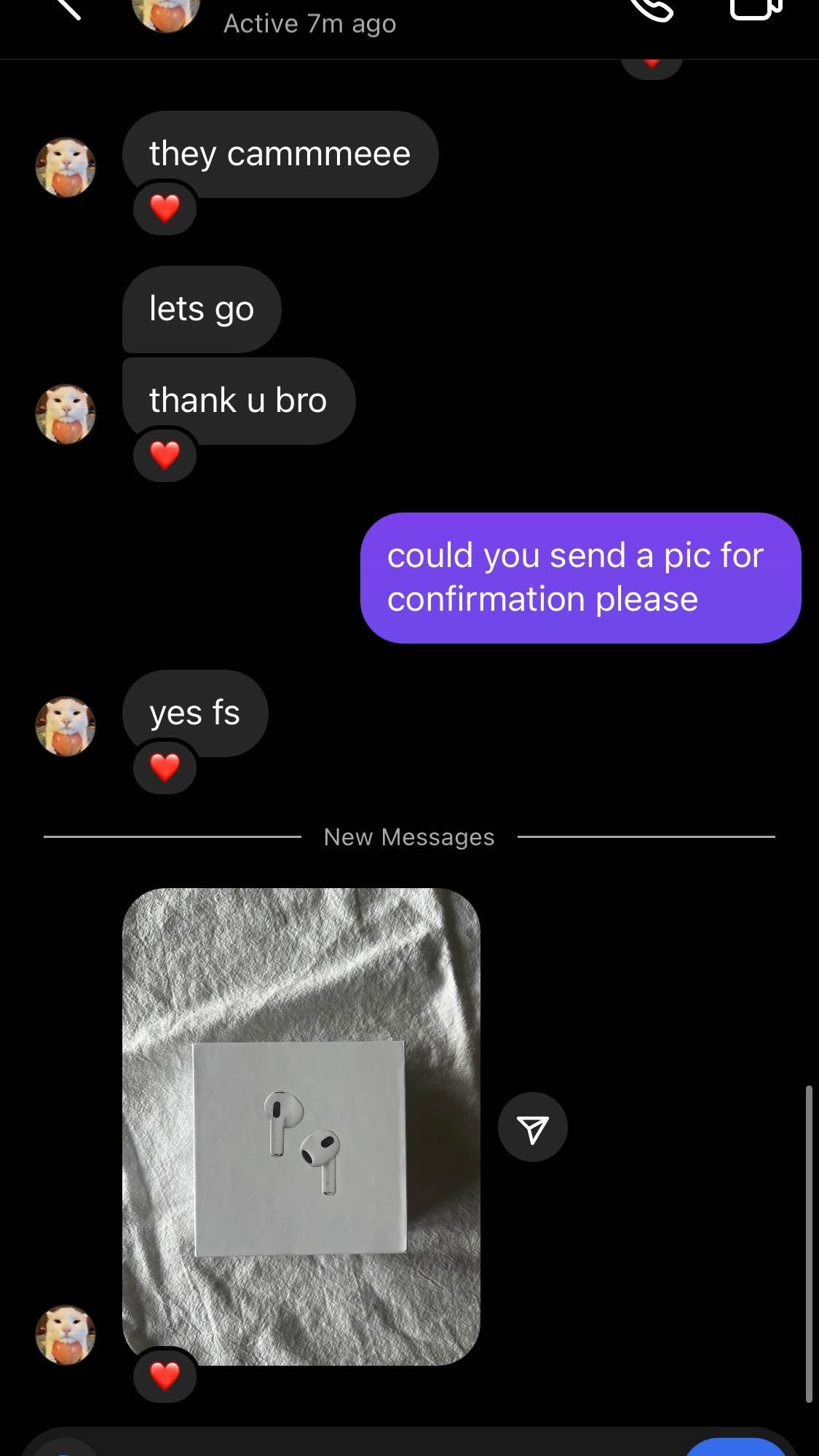 The image