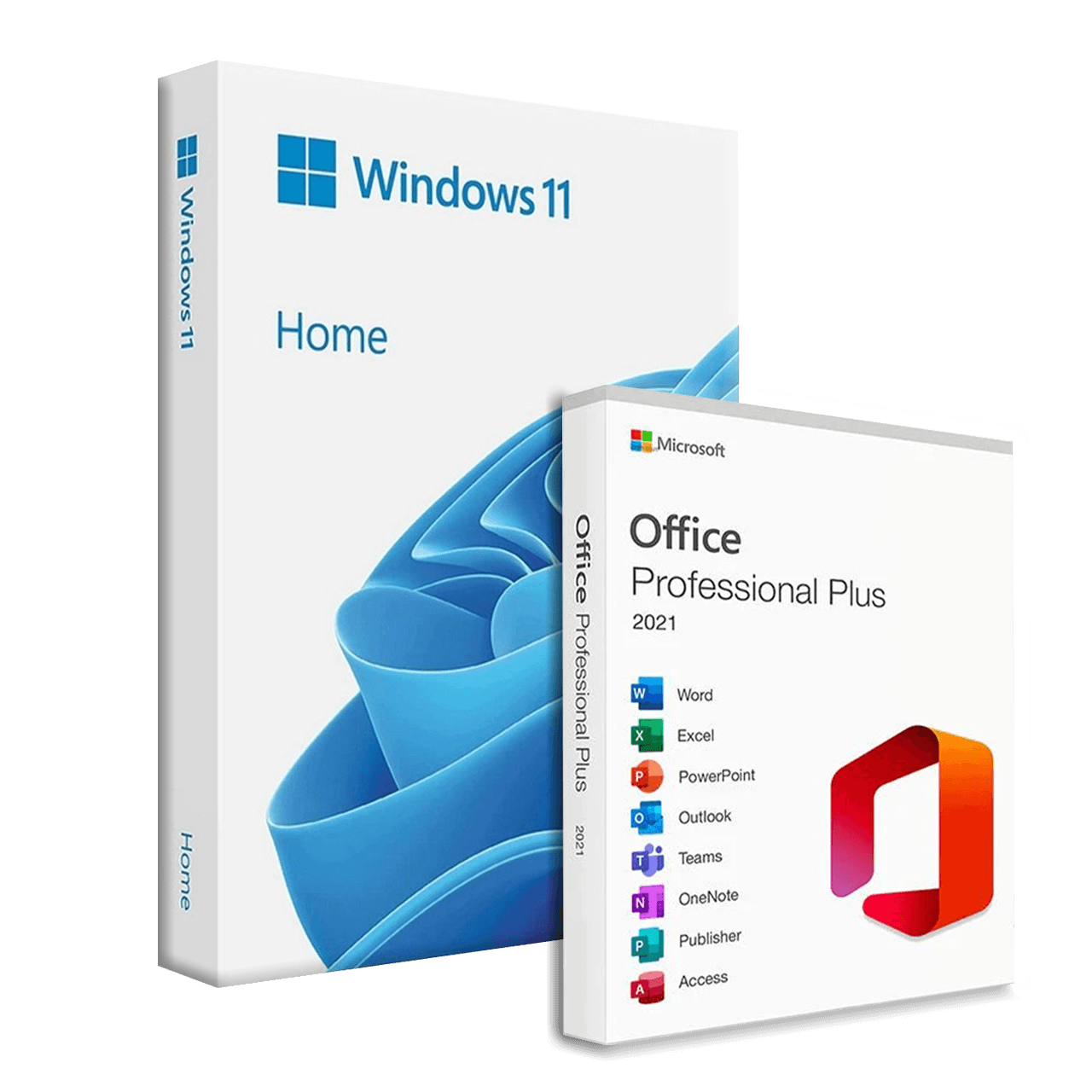 Microsoft Windows 11 Home + Microsoft Office 2021 Professional Plus Bundle