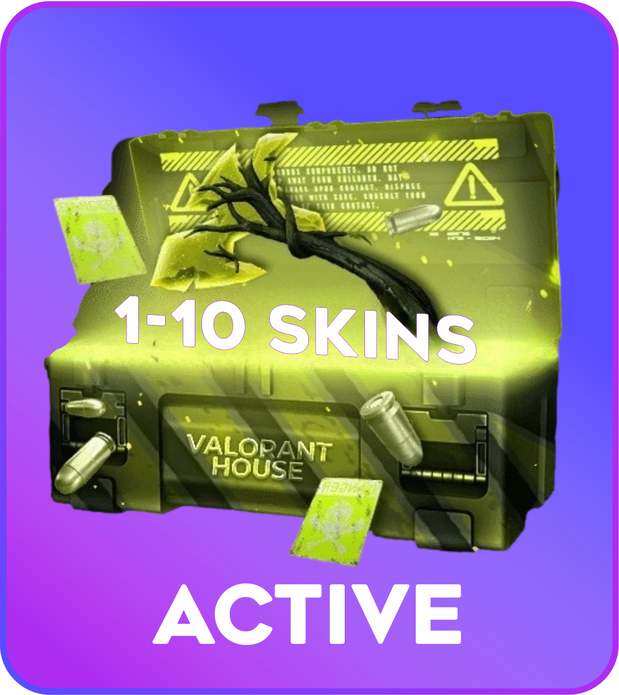 Active 1-10 skins Valorant Account
