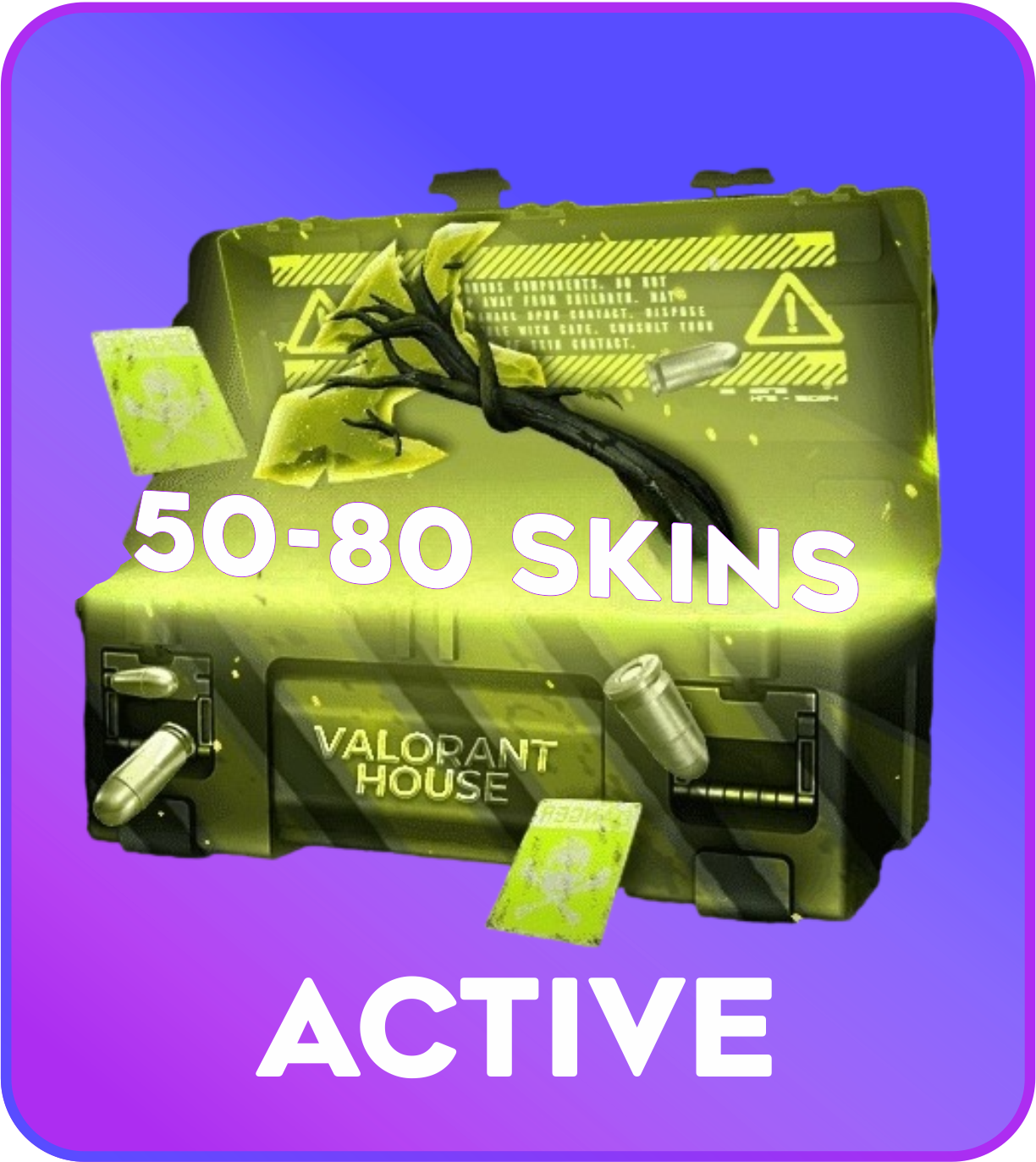 Active 50-80 skins Valorant Account
