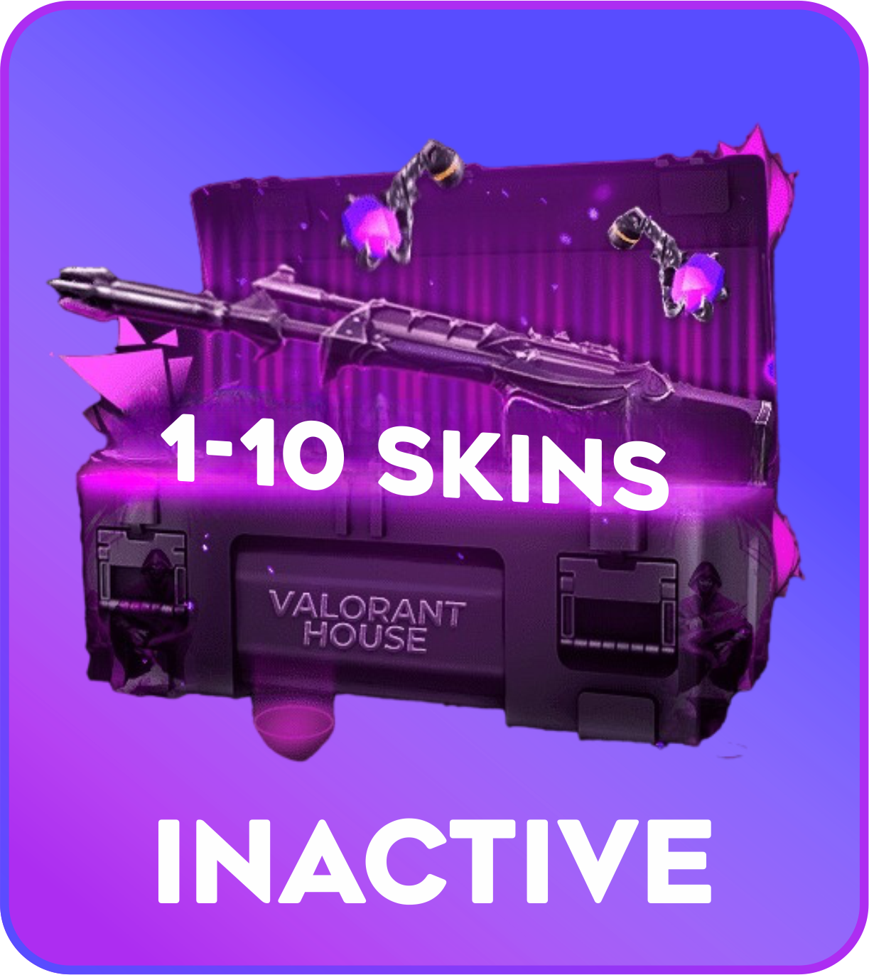 Inactive 1-10 skins Valorant Account