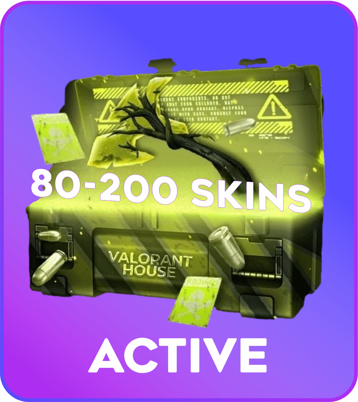Active 80-200 skins Valorant Account 