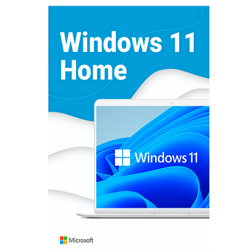 Microsoft Windows 11 Home 