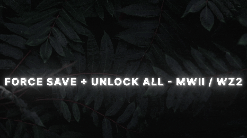  Force Save + Unlock All - MWII / WZ2