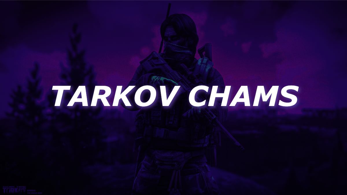 Tarkov Chams