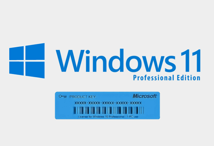 WINDOWS 11 PRO ACTIVATION LICENSE KEY 32/64-Bit