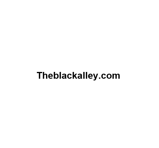 Theblackalley.com