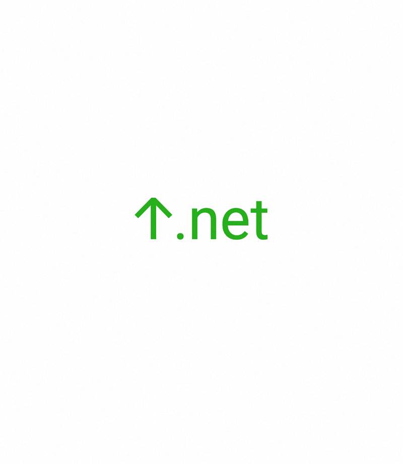 𐊁.net