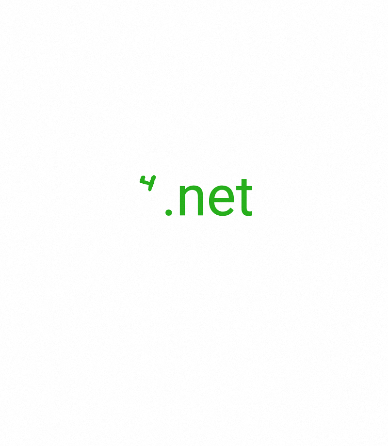 ꙿ.net