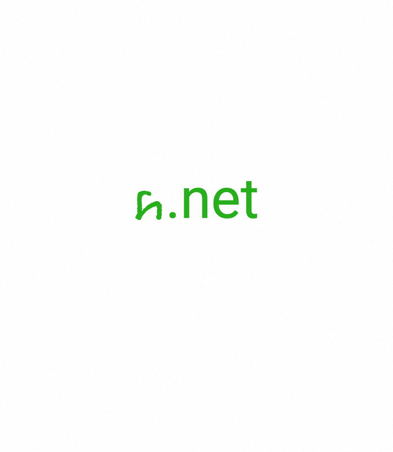 ꚕ.net