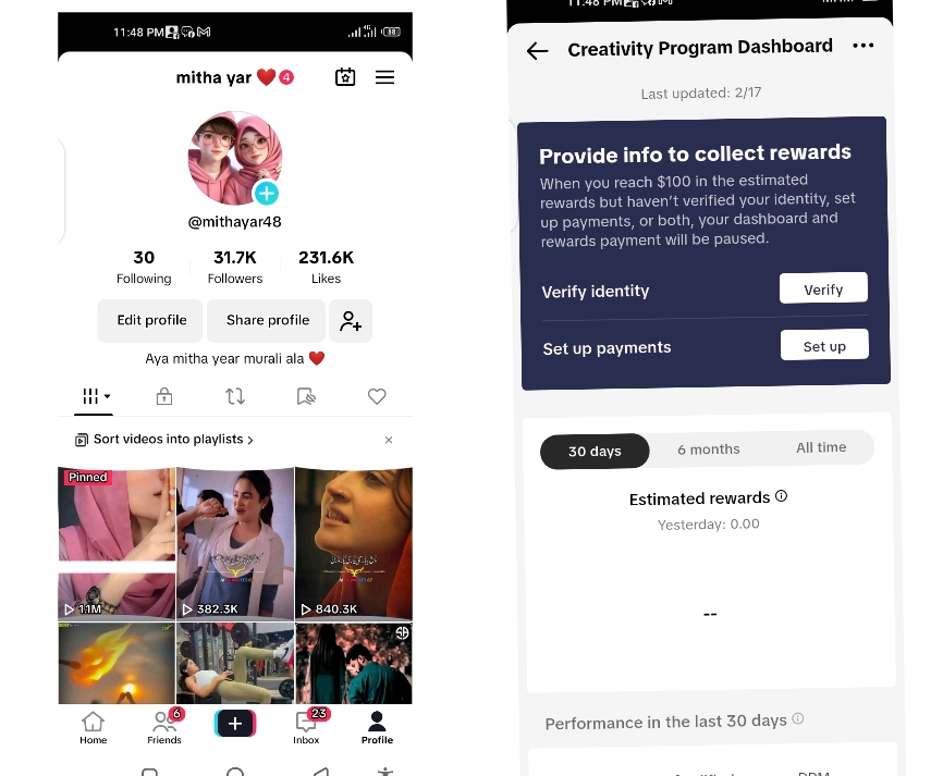 TikTok creativity program beta approved accounts/customized accounts for your needs.