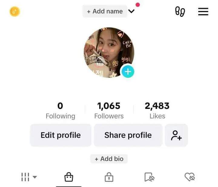 TikTok 1k Followers Account