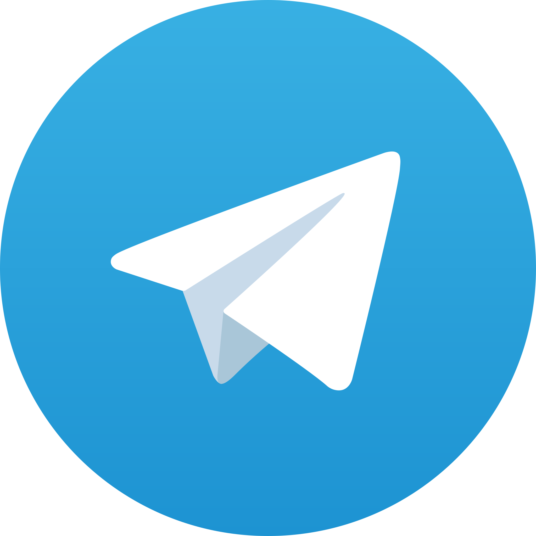 Telegram DMs x 5,000