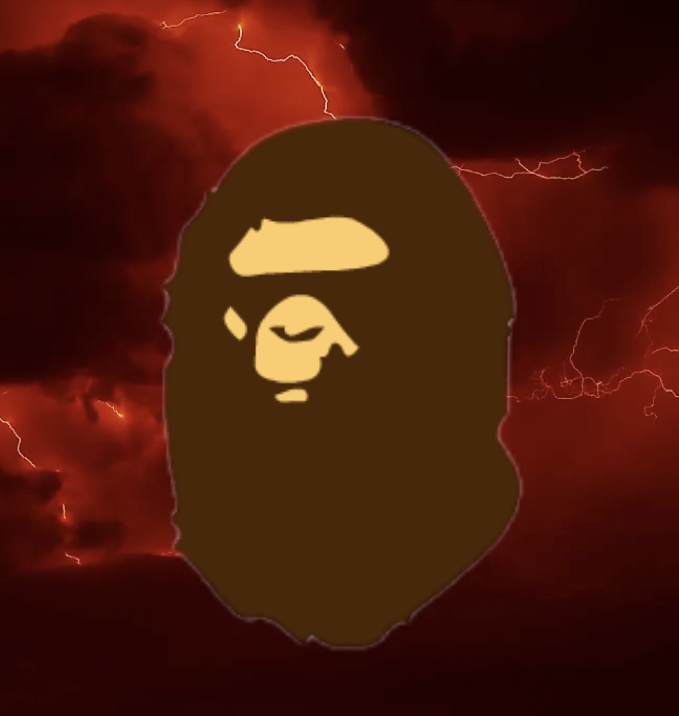Bape Supplier