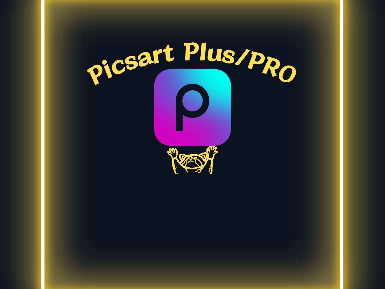 Picsart Plus/Pro