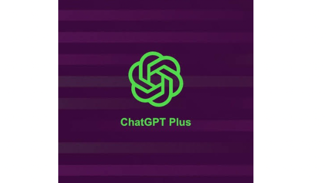 ChatGPT Personal 6 Months private