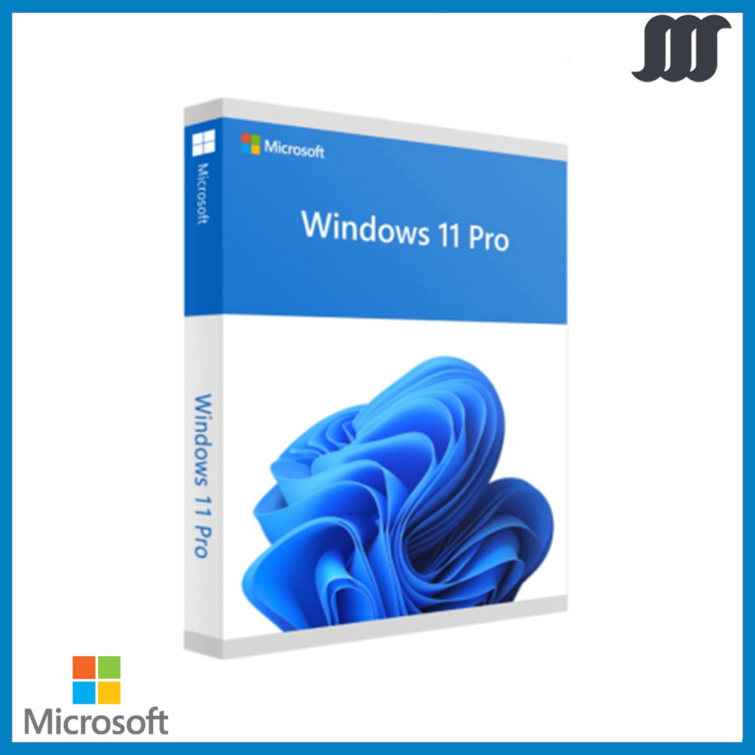  Ws 11 Professional Product Key