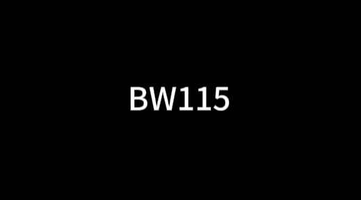 BW115