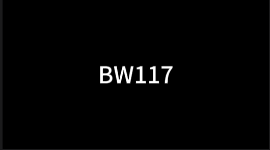 BW117