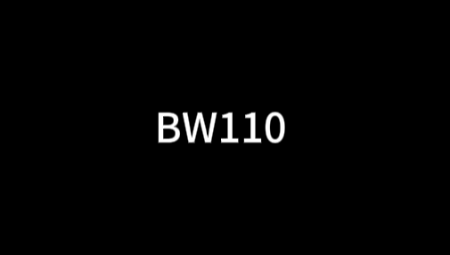 BW110