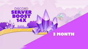 14x Discord Boosts [3 Months]