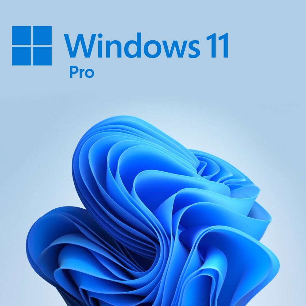 Windows 11/10 Pro | Retail Key 