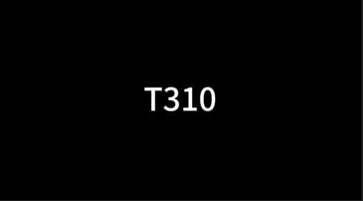 T310
