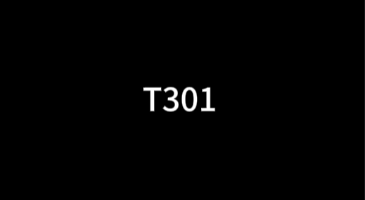 T301