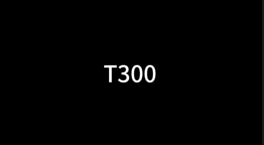 T300