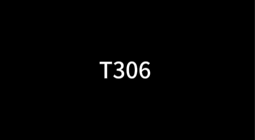 T306