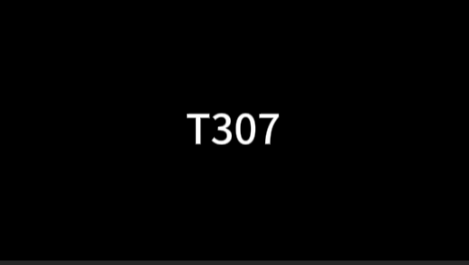 T307