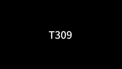 T309
