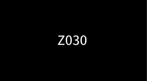 Z030