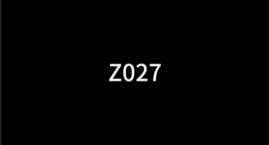 Z027
