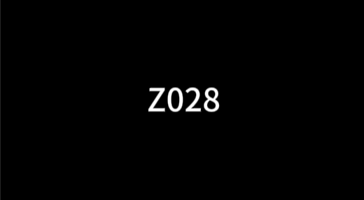 Z028