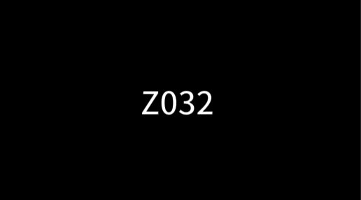 Z032