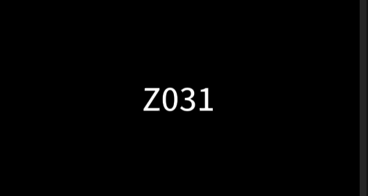 Z031