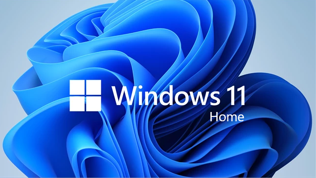Windows 11 Home License Key 5PC Retail Key