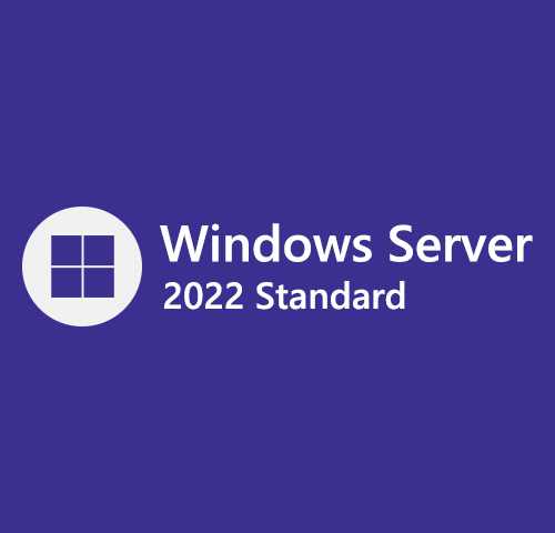 [Retail] Windows Server 2022 Standard 2 User Online