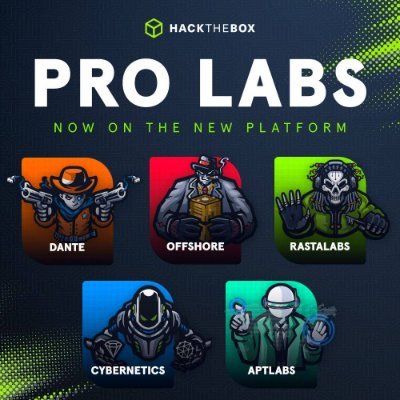 HTB Pro Labs Writeups