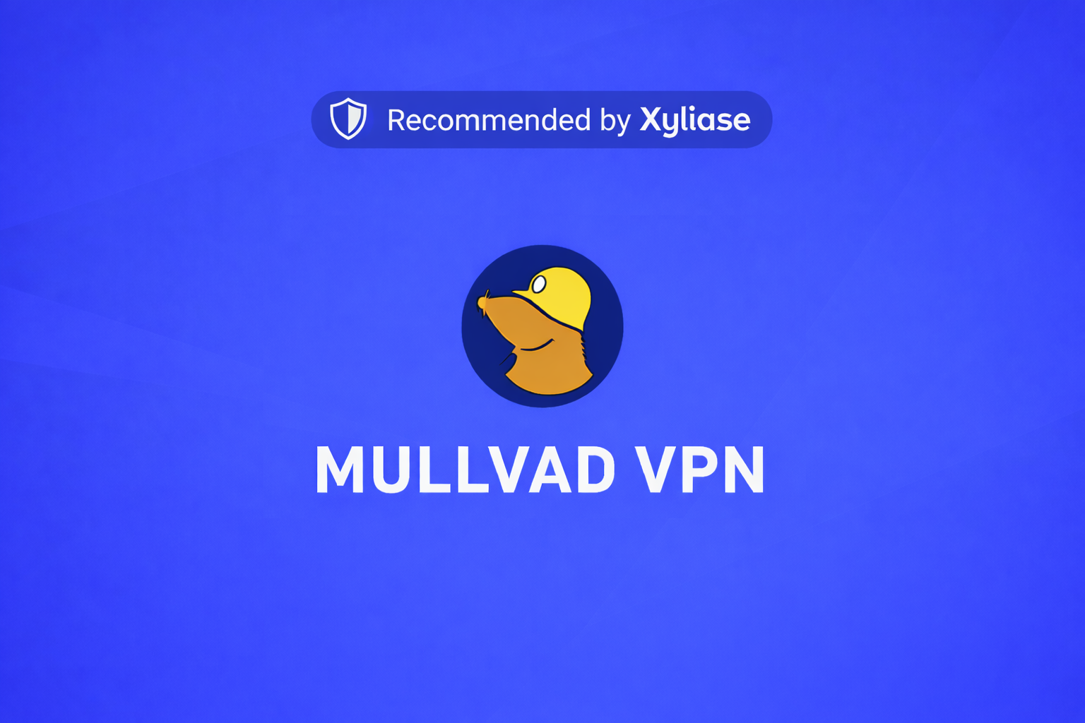 Mullvad VPN - 12 months