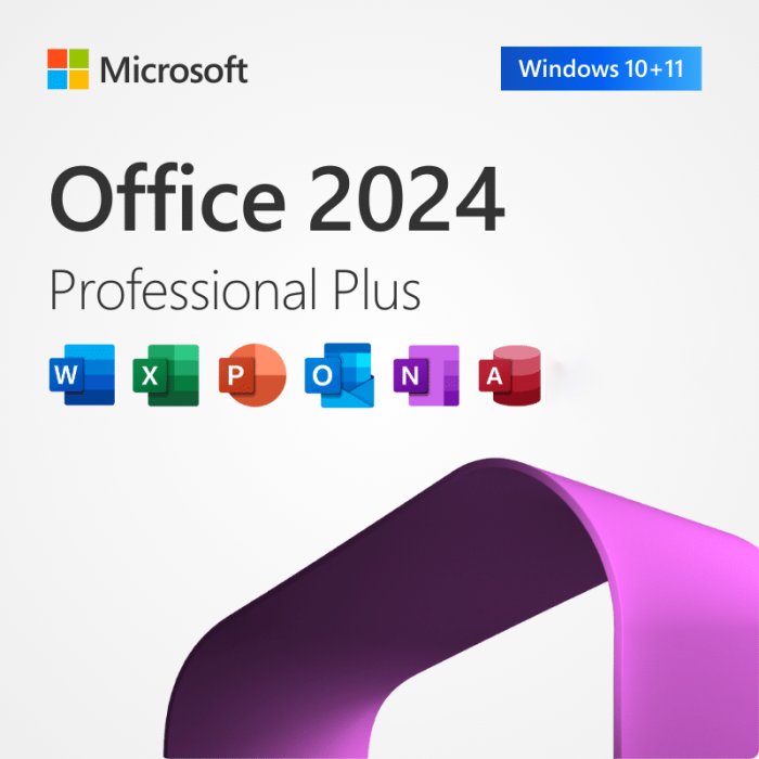 Microsoft Office Professional Plus (Windows) – 2024 | 2021 | 2019 | 2016