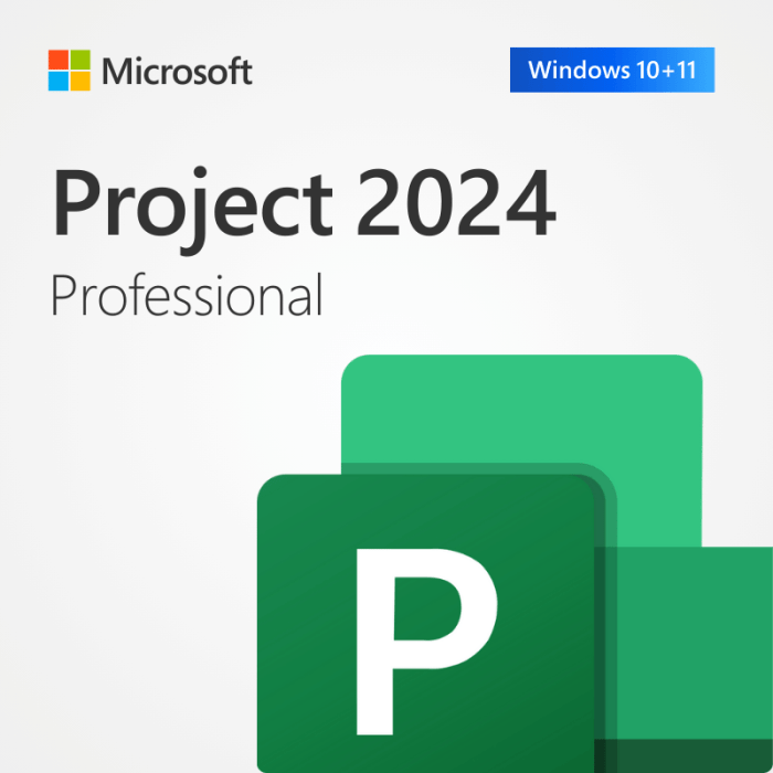 Microsoft Project Professional Windows 1 PC Online key 2024 | 2021 | 2019 | 2016 