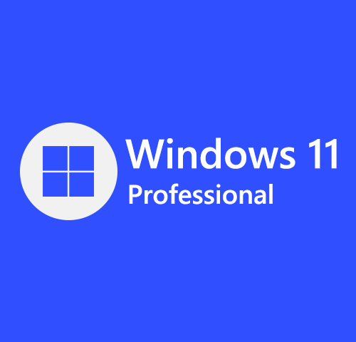 [OEM] Windows 11 Pro Activates 1 PC Online