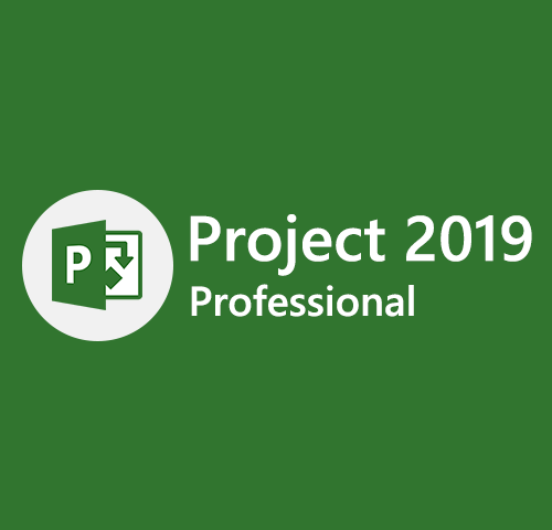 [Retail] Project 2019 Professional Activates 1 PC Online